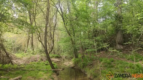 bosque de valorio zamora (15)