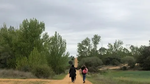 Granja de Moreruela