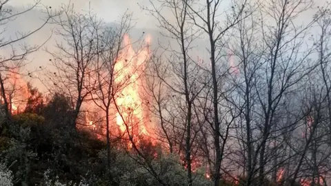 castrelos fuego alta sanabria castrelos