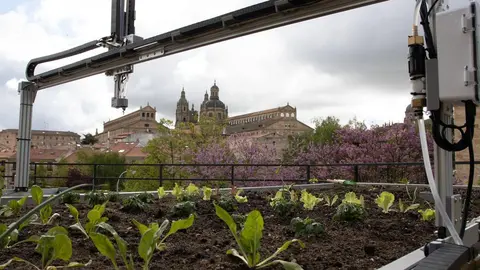 Huerto robotizado de la USAL.