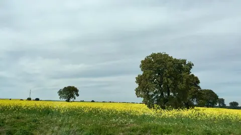 FDBEB457-2D6A-4CD4-9520-86F838C8A461