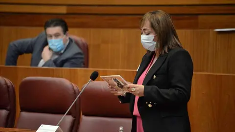 María Teresa Gago en las Cortes