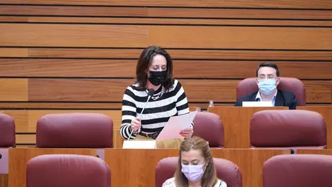 Rosa Rubio, en las Cortes.