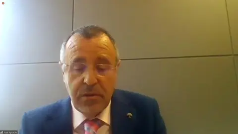 Jose Ignacio Martín Benito, en su comparecencia por Zoom.