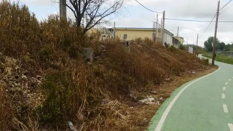 Puede observarse el uso del herbicida en el Paseo de la Aldehuela