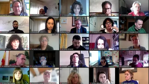 Momento de la celebración del Pleno por videoconferencia