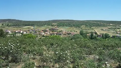 Ferreruela de Tábara