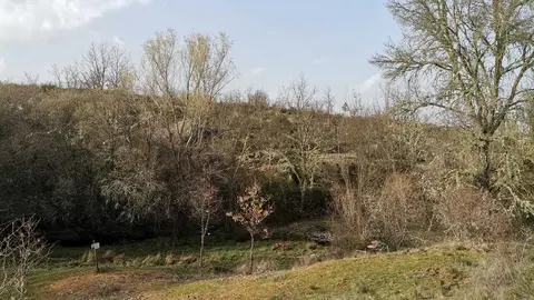 chimenea 6