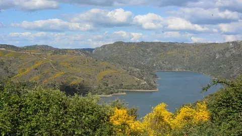 portugal sayago primavera (43)