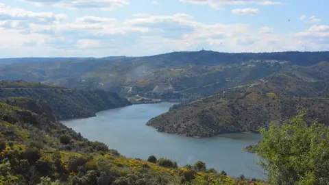 portugal sayago primavera (36)