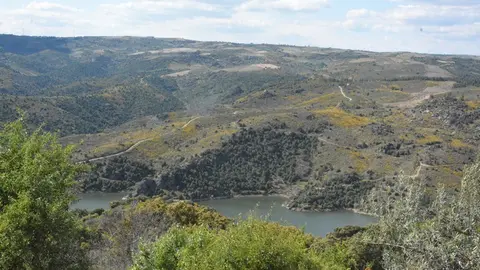 portugal sayago primavera (37)