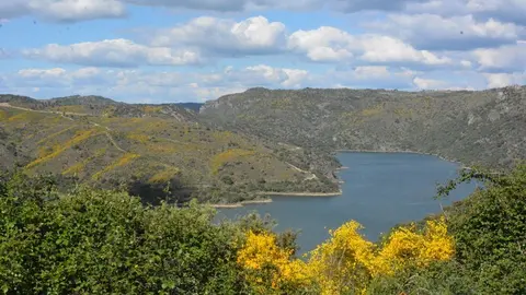 portugal sayago primavera (44)