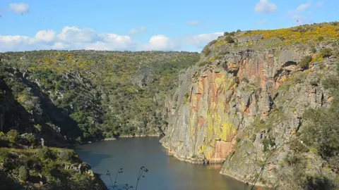 portugal sayago primavera (73)