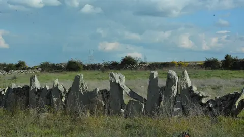 portugal sayago primavera (82)