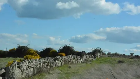 portugal sayago primavera (83)