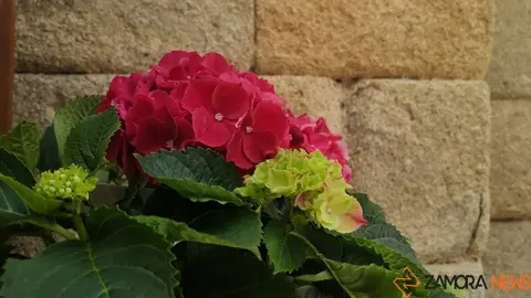 mar restaurante espa&ntilde;a  (1)