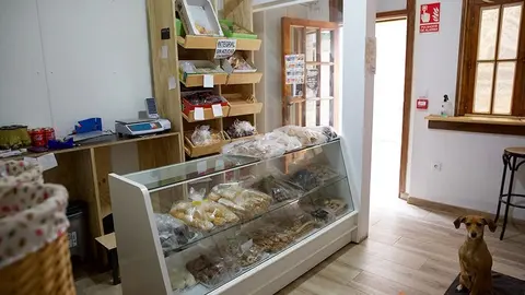 toro emprendedores (8)