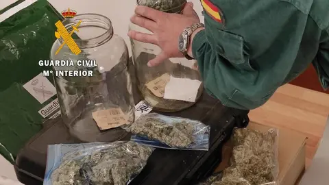 foto archivo marihuana