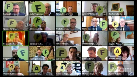 Pleno de la Diputación de ZAMORA