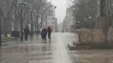 d3c1b65907351628a7e55eced6e10297_XL