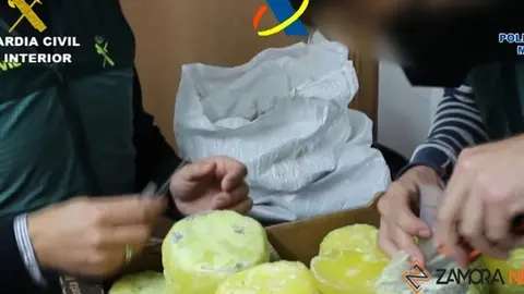 Los agentes cortan las piñas donde está escondida la cocaína