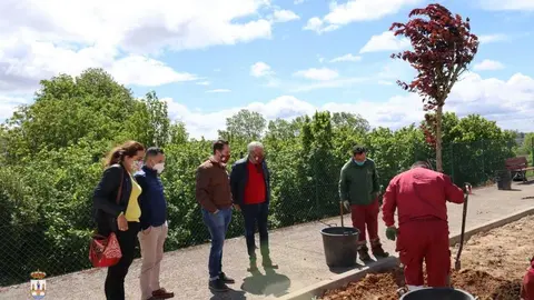 WhatsApp Image 2021-05-12 at 16.50.43 (2)