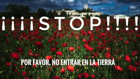 Imagen de la petición lanzada en Facebook