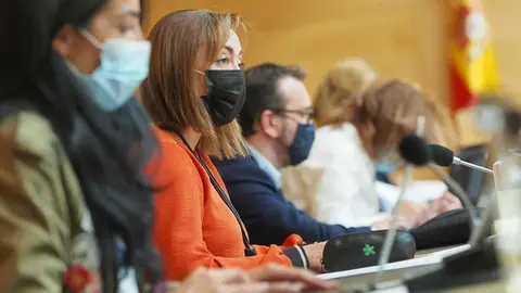 Cs_María_Teresa_Gago_CCyL_Com_Cult18052021 (2)