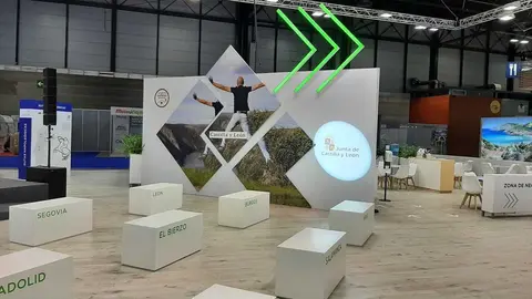 fitur 2021