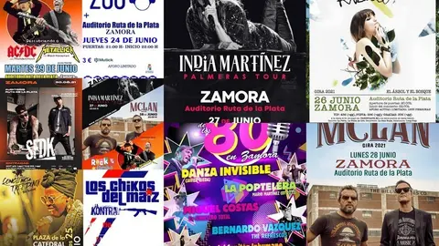carteles san pedro