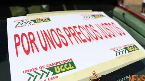 Manifestación La Unión de Zamora - UCCL Zamora