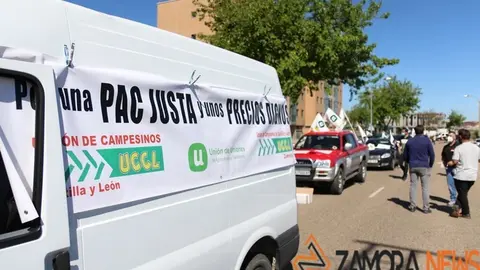 Manifestación La Unión de Zamora - UCCL Zamora