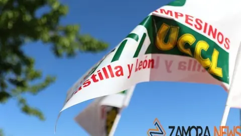Manifestación La Unión de Zamora - UCCL Zamora