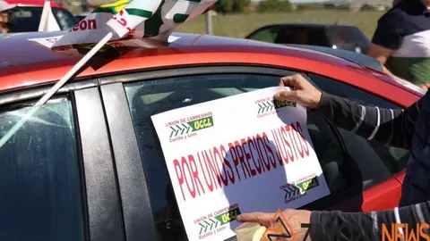 Manifestación La Unión de Zamora - UCCL Zamora