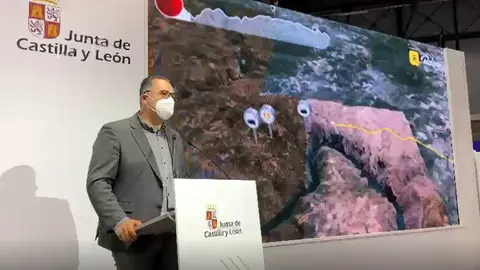 zamora fitur