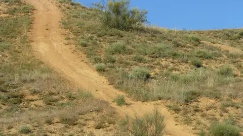 WhatsApp Image 2021-05-20 at 10.18.49