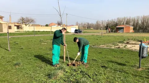 Operarios realizando labores de limpieza y mantenimiento en el Ayuntamiento de Morales del Vino