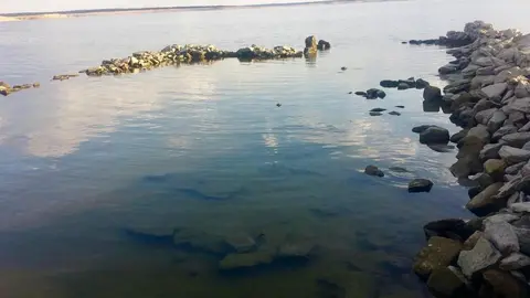 6C1DE7B7-D235-4990-8AEF-99D3648713B9