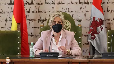Toro Enmaromado presentación