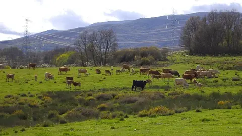 Vista de Cobreros: Fotografía: Plataforma Comunales Libres