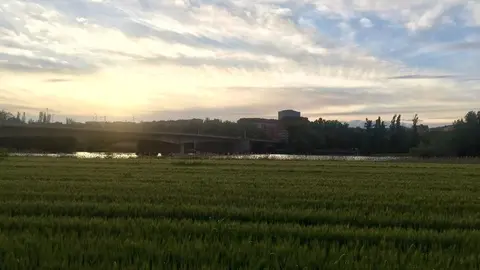 Zamora desde el Duero