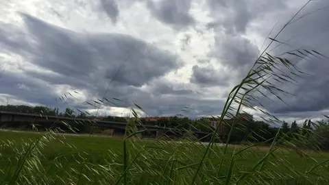 Campo junto al río Duero