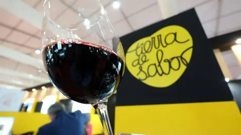 Cata de vinos con selle Tierra de Sabor