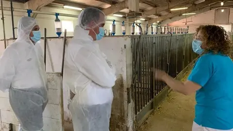 Visita al Centro de Porcino en Coreses