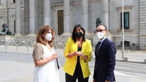 Ana Sánchez a las puertas del Congreso