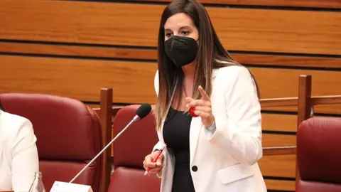 La coordinadora de Familia del Grupo Parlamentario Socialista, Nuria Rubio