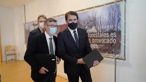 Repoblación Forestal