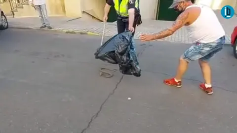 La Policía Municipal cazando un ejemplar de culebra bastarda. Fotografía: Interbenavente