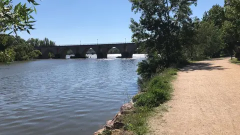 Paseo con el puente de piedra al fondo