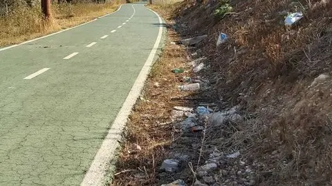 Residuos_paseo_Aldehuela_Zamora (1)